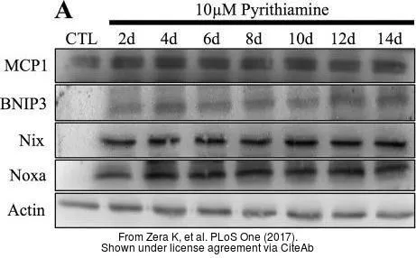 The data was published in the journal PLoS One in 2017. PMID: 29045486