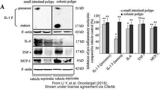The data was published in the journal Oncotarget in 2016. PMID: 27507058