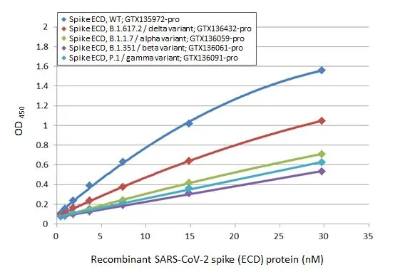 Sandwich ELISA detection of recombinant Spike ECD protein(s) derived from different strains of SARS-CoV-2 virus (ie., Wild type; B.1.1.7 alpha variant; B.1.351 beta variant; P.1 gamma variant; B1.617.2 delta variant) using antibodies as below. Capture: SARS-CoV / SARS-CoV-2 (COVID-19) spike antibody [1A9] (GTX632604) (5 microg/mL) Detection: SARS-CoV-2 (COVID-19) Spike S1 antibody [HL263] (GTX635672) (1 microg/mL)