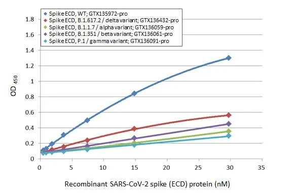 Sandwich ELISA detection of recombinant Spike ECD protein(s) derived from different strains of SARS-CoV-2 virus (ie., Wild type; B.1.1.7 alpha variant; B.1.351 beta variant; P.1 gamma variant; B1.617.2 delta variant) using antibodies as below. Capture: SARS-CoV / SARS-CoV-2 (COVID-19) spike antibody [1A9] (GTX632604) (5 microg/mL) Detection: SARS-CoV-2 (COVID-19) Spike S1 antibody [HL13402] (GTX635713) (1 microg/mL)