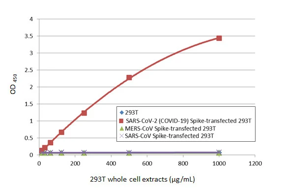 Sandwich ELISA detection of non-transfected (GTX535673) and SARS-CoV-2 (COVID-19) Spike (GTX535664), MERS-CoV Spike (GTX535667), or SARS-CoV Spike (GTX535668) transfected 293T whole cell extracts using SARS-CoV-2 (COVID-19) Spike RBD antibody [HL1014] (GTX635807) as capture antibody at concentration of 5 microg/mL and SARS-CoV-2 (COVID-19) Spike RBD antibody [HL1003] (HRP) (GTX635792-01) as detection antibody at concentration of 1 microg/mL.
