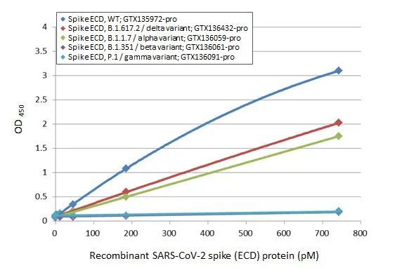 Sandwich ELISA detection of recombinant Spike ECD protein(s) derived from different strains of SARS-CoV-2 virus (ie., Wild type; B.1.1.7 alpha variant; B.1.351 beta variant; P.1 gamma variant; B1.617.2 delta variant) using antibodies as below. Capture: SARS-CoV-2 (COVID-19) Spike RBD antibody [HL1014] (GTX635807) (5 microg/mL) Detection: SARS-CoV-2 (COVID-19) Spike RBD antibody [HL1003] (HRP) (GTX635792-01) (1 microg/mL)