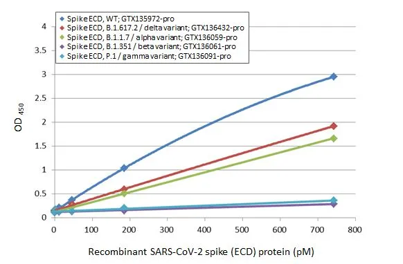 Sandwich ELISA detection of recombinant Spike ECD protein(s) derived from different strains of SARS-CoV-2 virus (ie., Wild type; B.1.1.7 alpha variant; B.1.351 beta variant; P.1 gamma variant; B1.617.2 delta variant) using antibodies as below. Capture: SARS-CoV-2 (COVID-19) Spike RBD antibody [HL1014] (GTX635807) (5 microg/mL) Detection: SARS-CoV-2 (COVID-19) Spike RBD antibody [HL1004] (HRP) (GTX635793-01) (1 microg/mL)