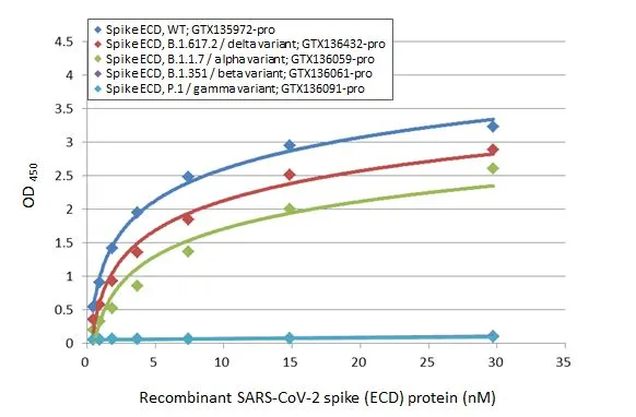 Sandwich ELISA detection of recombinant Spike ECD protein(s) derived from different strains of SARS-CoV-2 virus (ie., Wild type; B.1.1.7 alpha variant; B.1.351 beta variant; P.1 gamma variant; B1.617.2 delta variant) using antibodies as below. Capture: SARS-CoV / SARS-CoV-2 (COVID-19) spike antibody [1A9] (GTX632604) (5 microg/mL) Detection: SARS-CoV-2 (COVID-19) Spike RBD antibody [HL1003] (GTX635792) (1 microg/mL)
