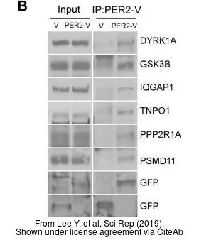 The data was published in the journal Sci Rep in 2019. PMID: 31417156