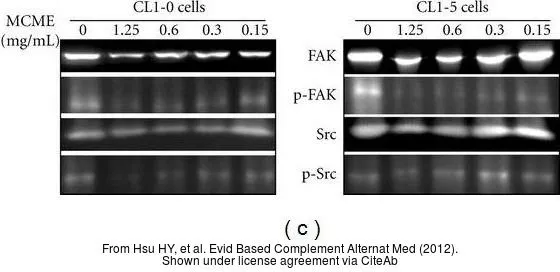 The data was published in the journal Evid Based Complement Alternat Med in 2012.PMID: 23320038