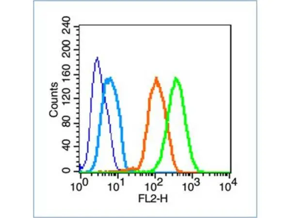 FACS analysis of U251 cells using GTX51022 Neuroligin 1 + Neuroligin 2 antibody. Green : Primary antibody Blue : Unstained cells Orange : Isotype control Light blue : Secondary antibody only Dilution : 1:100