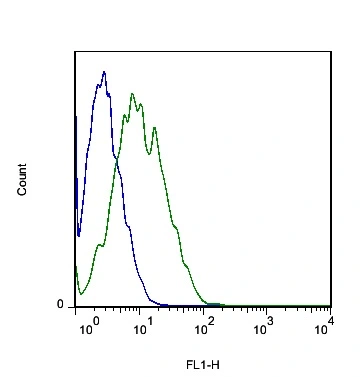 FACS analysis of mouse cells using GTX51095 MCT8 antibody. Green : Primary antibody Blue : Unstained cells Dilution : 1:100 FACS analysis of mouse cells using GTX51095 MCT8 antibody. Green : Primary antibody Blue : Unstained cells Dilution : 1:100
