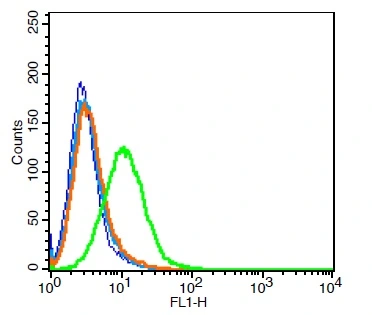 FACS analysis of H9C2 cells using GTX51095 MCT8 antibody. Green : Primary antibody Blue : Unstained cells Orange : Isotype control Light blue : Secondary antibody only Antibody amount : 3microg