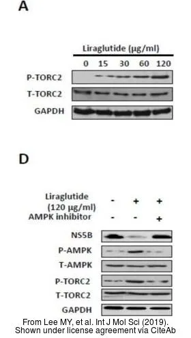 The data was published in the journal Int J Mol Sci in 2019. PMID: 31540136
