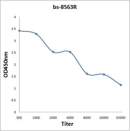 ELISA analysis of 2microg GTX52001 anitgen in 100microl buffer using serial diluted GTX52001 KIAA1522 antibody. ELISA analysis of 2microg GTX52001 anitgen in 100microl buffer using serial diluted GTX52001 KIAA1522 antibody.