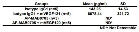 Neutralizing/Blocking assay analysis of mouse VEGF levels pre-exposed in the absence or presence of GTX53467 VEGFA antibody [MAB0705] for 12hrs, followed by 750ng/mouse mVEGF120 ip injection for 1hr. Antibody amount : 1mg/mouse