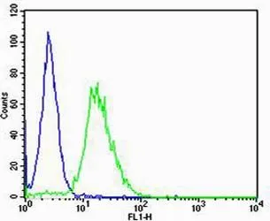 FACS analysis of NIH3T3 cells using GTX53489 Casein Kinase I gamma 3 antibody. Green : Casein Kinase I gamma 3 Blue : Isotype control Dilution : 1:25