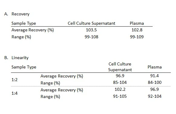 A. Recovery assay was determined by spiking SARS-CoV-2 N protein at various levels throughout the assay range in the listed samples. B. To determine linearity, the listed samples were spiked with SARS-CoV-2 N protein and diluted with Assay Diluent in 1:2 and 1:4. The value was assessed by comparing it to undiluted samples.