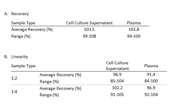 A. Recovery assay was determined by spiking SARS-CoV-2 N protein at various levels throughout the assay range in the listed samples. B. To determine linearity, the listed samples were spiked with SARS-CoV-2 N protein and diluted with Assay Diluent in 1:2 and 1:4. The value was assessed by comparing it to undiluted samples.