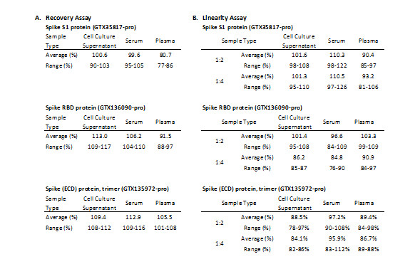 A. Recovery assay was determined by spiking SARS-CoV-2 spike and RBD proteins at various levels throughout the assay range in the listed samples. B. To determine linearity, the listed samples were spiked with SARS-CoV-2 spike and RBD proteins and diluted with Assay Diluent in 1:2 and 1:4. The value was assessed by comparing it to undiluted samples.