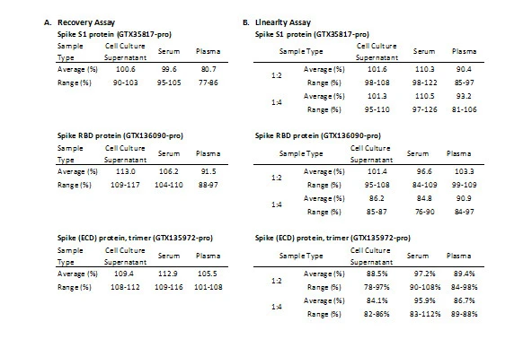 A. Recovery assay was determined by spiking SARS-CoV-2 spike and RBD proteins at various levels throughout the assay range in the listed samples. B. To determine linearity, the listed samples were spiked with SARS-CoV-2 spike and RBD proteins and diluted with Assay Diluent in 1:2 and 1:4. The value was assessed by comparing it to undiluted samples.
