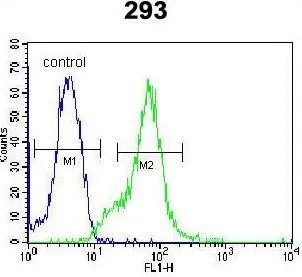 FACS analysis of 293 cells using GTX53635 Galectin-9B antibody. Green : primary antibody Blue : negative control