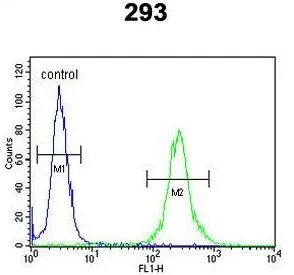 FACS analysis of 293 cells using GTX53669 MRAP antibody. Green : primary antibody Blue : negative control