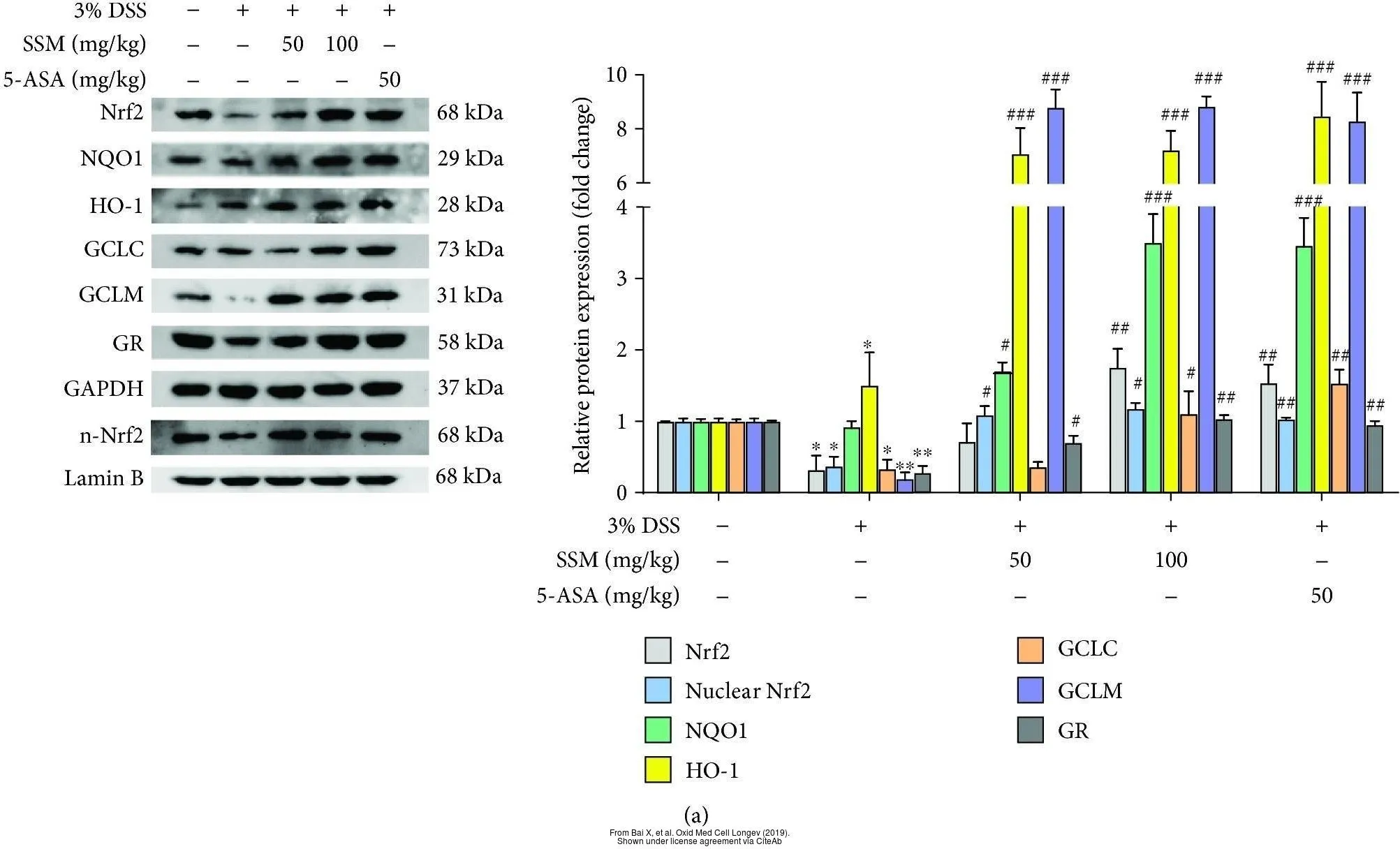 The data was published in the journal Oxid Med Cell Longev in 2019. PMID: 31534619 The data was published in the journal Oxid Med Cell Longev in 2019. PMID: 31534619