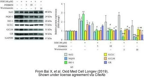 The data was published in the journal Oxid Med Cell Longev in 2019. PMID: 31534619