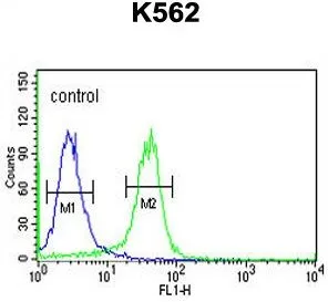 FACS analysis of K562 cells using GTX53804 KDM4B antibody. Green : primary antibody Blue : negative control