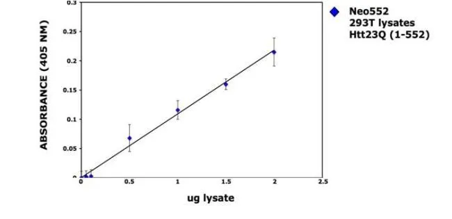 Sandwich ELISA was performed with a monoclonal anti- Humtingtin antibody and GTX54521 Huntingtin (neoepitope 552) antibody to determine the antigen concentration of the Htt cleavage products. The curve represents a dose response for neo552 in 293T cells overexpressing the Htt construct.