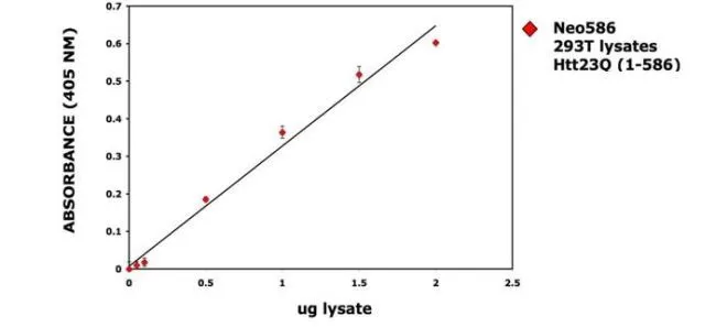 Sandwich ELISA was performed with a Huntingtin monoclonal antibody and GTX54522 Huntingtin (neoepitope 586) antibody to determine the antigen concentration of the Huntingtin cleavage products. The curve represents a dose response for neo586 in 293T cells overexpressing the Htt construct.