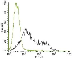 FACS analysis of K562 cells using GTX54789 Kv11.1 antibody. Green : Unstained cell Black : Cell staining with primary antibody