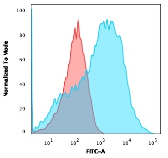 IHC-P analysis of human cerebellum using GTX57165 NF-H (phospho) antibody [NE14].