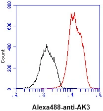 FACS analysis of Jurkat cells using GTX57541 AK3 antibody. Cell Number: 1 x 10? cells Primary antibody: Red line Antibody amount: 2-5 microg FACS analysis of Jurkat cells using GTX57541 AK3 antibody. Cell Number: 1 x 10? cells Primary antibody: Red line Antibody amount: 2-5 microg
