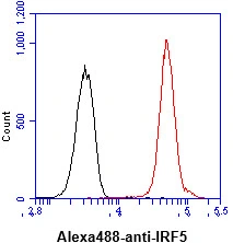 FACS analysis of THP-1 cells using GTX57552 IRF5 antibody. Cell Number: 1 x 10? cells Primary antibody: Red line Antibody amount: 2-5 microg FACS analysis of THP-1 cells using GTX57552 IRF5 antibody. Cell Number: 1 x 10? cells Primary antibody: Red line Antibody amount: 2-5 microg