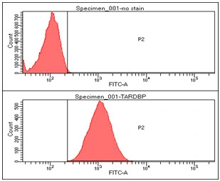 FACS analysis of HeLa cells using GTX57560 TDP43 antibody. Cell Number: 1 x 10? cells Upper panel : negative control, Lower panel: Primary antibody Antibody amount: 2-5 microg FACS analysis of HeLa cells using GTX57560 TDP43 antibody. Cell Number: 1 x 10? cells Upper panel : negative control, Lower panel: Primary antibody Antibody amount: 2-5 microg