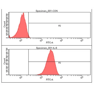 FACS analysis of HeLa cells using GTX57562 IL6 antibody. Cell Number: 1 x 10? cells Red: Primary antibody Antibody amount: 2-5 microg