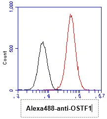 FACS analysis of HeLa cells using GTX57564 OSTF1 antibody. Cell Number: 1 x 10? cells Primary antibody: Red line Antibody amount: 2-5 microg FACS analysis of HeLa cells using GTX57564 OSTF1 antibody. Cell Number: 1 x 10? cells Primary antibody: Red line Antibody amount: 2-5 microg