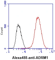 FACS analysis of MCF7 cells using GTX57566 ADRM1 antibody. Cell Number: 1 x 10? cells Primary antibody: Red line Antibody amount: 2-5 microg FACS analysis of MCF7 cells using GTX57566 ADRM1 antibody. Cell Number: 1 x 10? cells Primary antibody: Red line Antibody amount: 2-5 microg