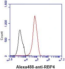 FACS analysis of HepG2 cells using GTX57569 RBP4 antibody. Cell Number: 1 x 10? cells Primary antibody: Red line Antibody amount: 2-5 microg FACS analysis of HepG2 cells using GTX57569 RBP4 antibody. Cell Number: 1 x 10? cells Primary antibody: Red line Antibody amount: 2-5 microg