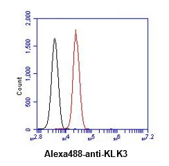 FACS analysis of LNCaP cells using GTX57585 Amphiregulin antibody. Cell Number: 1 x 10? cells Primary antibody: Red line Antibody amount: 2-5 microg