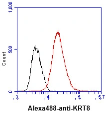FACS analysis of MCF7 cells using GTX57589 Cytokeratin 8 antibody. Cell Number: 1 x 10? cells Primary antibody: Red line Antibody amount: 2-5 microg FACS analysis of MCF7 cells using GTX57589 Cytokeratin 8 antibody. Cell Number: 1 x 10? cells Primary antibody: Red line Antibody amount: 2-5 microg