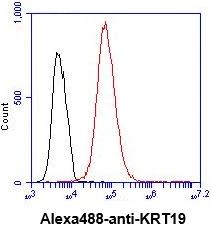 FACS analysis of HepG2 cells using GTX57591 Cytokeratin 19 antibody. Cell Number: 1 x 10? cells Primary antibody: Red line Antibody amount: 2-5 microg FACS analysis of HepG2 cells using GTX57591 Cytokeratin 19 antibody. Cell Number: 1 x 10? cells Primary antibody: Red line Antibody amount: 2-5 microg