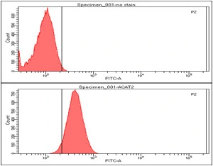 FACS analysis of PC-3 cells using GTX57610 ACAT2 antibody. Cell Number: 1 x 10? cells Upper panel : negative control, Lower panel: Primary antibody Antibody amount: 2-5 microg FACS analysis of PC-3 cells using GTX57610 ACAT2 antibody. Cell Number: 1 x 10? cells Upper panel : negative control, Lower panel: Primary antibody Antibody amount: 2-5 microg