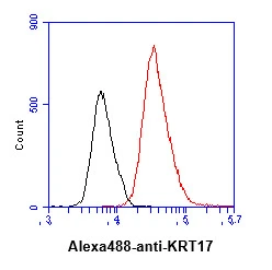 FACS analysis of A431 cells using GTX57612 Cytokeratin 17 antibody. Cell Number: 1 x 10? cells Primary antibody: Red line Antibody amount: 2-5 microg FACS analysis of A431 cells using GTX57612 Cytokeratin 17 antibody. Cell Number: 1 x 10? cells Primary antibody: Red line Antibody amount: 2-5 microg
