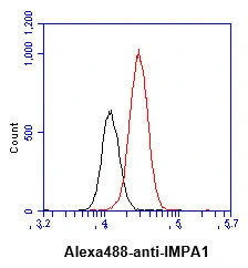 FACS analysis of LNCap cells using GTX57655 IMPA1 antibody. Cell Number: 1 x 10? cells Primary antibody: Red line Antibody amount: 2-5 microg