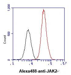 FACS analysis of HeLa cells using GTX57670 JAK2 antibody. Cell Number: 1 x 10? cells Primary antibody: Red line Antibody amount: 2-5 microg FACS analysis of HeLa cells using GTX57670 JAK2 antibody. Cell Number: 1 x 10? cells Primary antibody: Red line Antibody amount: 2-5 microg