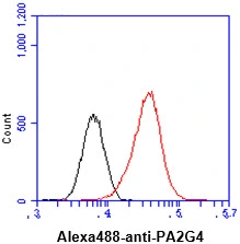 FACS analysis of HeLa cells using GTX57679 EBP1 antibody. Cell Number: 1 x 10? cells Primary antibody: Red line Antibody amount: 2-5 microg FACS analysis of HeLa cells using GTX57679 EBP1 antibody. Cell Number: 1 x 10? cells Primary antibody: Red line Antibody amount: 2-5 microg