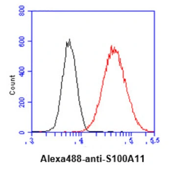 FACS analysis of HeLa cells using GTX57683 S100A11 antibody. Cell Number: 1 x 10? cells Primary antibody: Red line Antibody amount: 2-5 microg