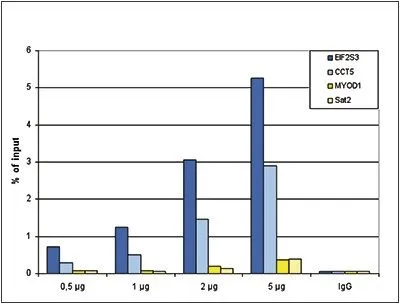 ChIP analysis of sheared chromatin from 10? HeLa cells using GTX60330 Histone H3K79me2 (Di-methyl Lys79) antibody. A titration consisting of 0.5, 1, 2 and 5 microg of antibody per ChIP experiment was analyzed. IgG (1 microg/IP) was used as a negative IP control. Quantitative PCR was performed with primers specific for the coding regions of the active EIF2S3 and CCT5 genes, used as positive controls, and for the inactive MYOD1) gene and the Sat2 satellite repeat, used as negative controls. This figure shows the recovery, expressed as a % of input (the relative amount of immunoprecipitated DNA compared to input DNA after qPCR analysis). ChIP analysis of sheared chromatin from 10? HeLa cells using GTX60330 Histone H3K79me2 (Di-methyl Lys79) antibody. A titration consisting of 0.5, 1, 2 and 5 microg of antibody per ChIP experiment was analyzed. IgG (1 microg/IP) was used as a negative IP control. Quantitative PCR was performed with primers specific for the coding regions of the active EIF2S3 and CCT5 genes, used as positive controls, and for the inactive MYOD1) gene and the Sat2 satellite repeat, used as negative controls. This figure shows the recovery, expressed as a % of input (the relative amount of immunoprecipitated DNA compared to input DNA after qPCR analysis).