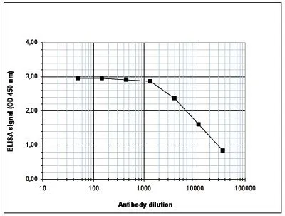 ELISA analysis of peptide containing the histone modification of interest using GTX60337 Histone H4K5K8K12ac (acetyl Lys5/Lys8/Lys12) antibody - ChIP grade.