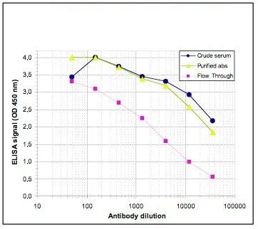ELISA analysis of peptide containing the histone modification of interest using GTX60354 Histone H3K36me1 (Mono-methyl Lys36) antibody - ChIP grade.