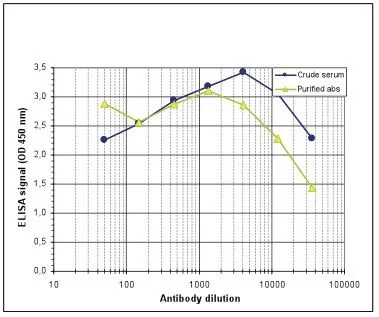 ELISA analysis of peptides used for immunization using GTX60358 MECP2 antibody - ChIP grade.